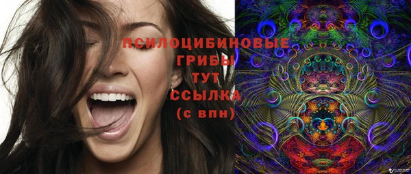 дживик Коряжма