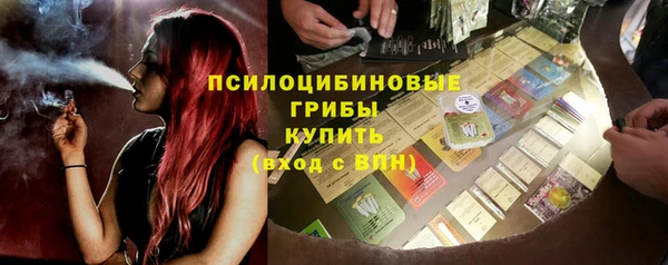 дживик Коряжма