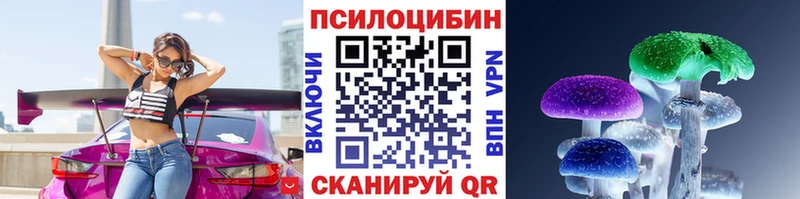 Купить где  Ладушкин  Псилоцибиновые грибы GOLDEN TEACHER 